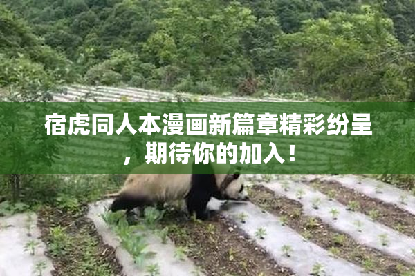 宿虎同人本漫画新篇章精彩纷呈，期待你的加入！