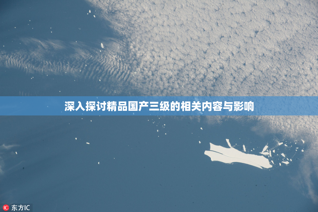 深入探讨精品国产三级的相关内容与影响