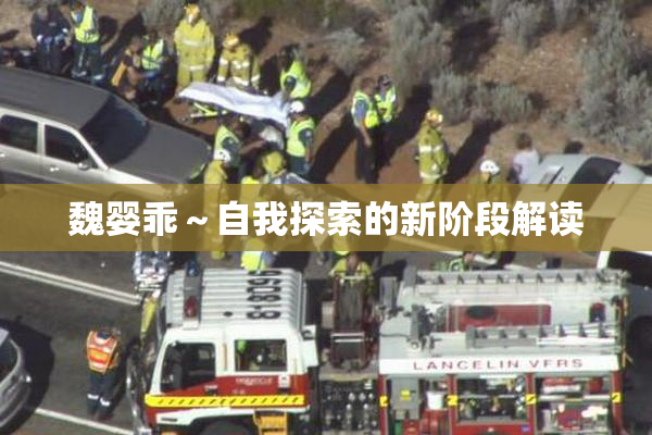 魏婴乖～自我探索的新阶段解读