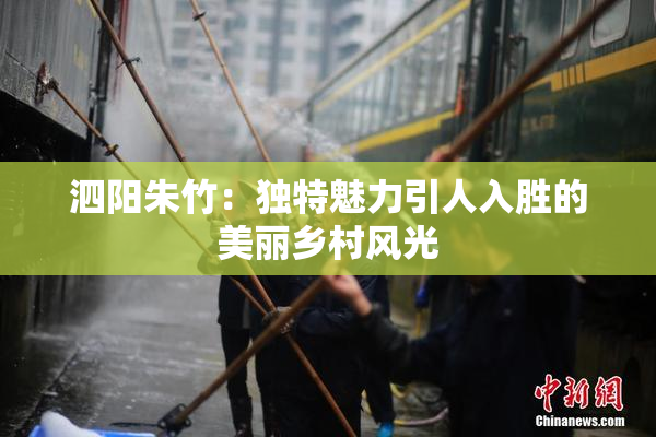 泗阳朱竹：独特魅力引人入胜的美丽乡村风光