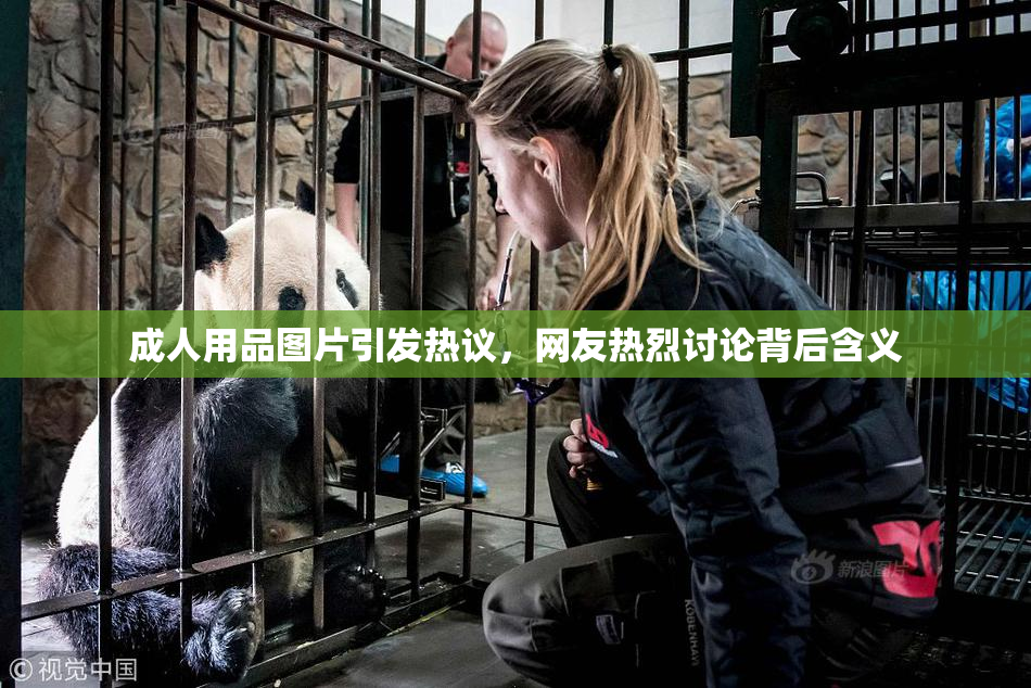 成人用品图片引发热议，网友热烈讨论背后含义