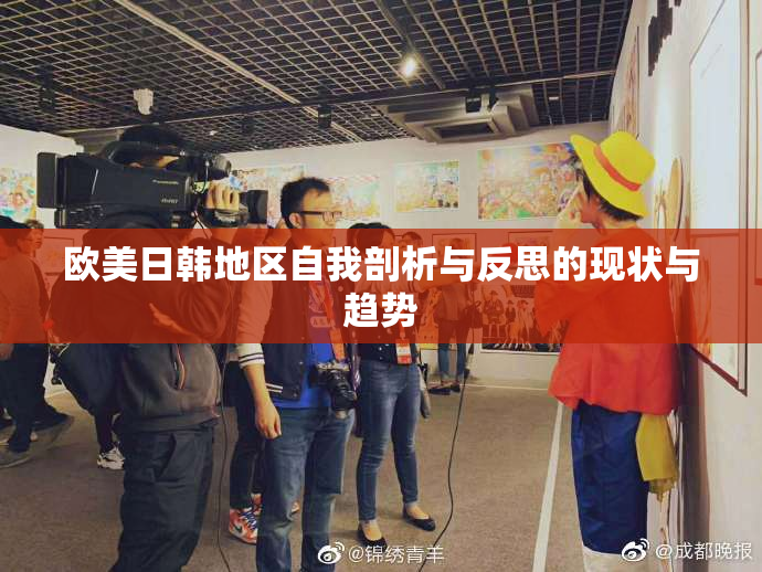 欧美日韩地区自我剖析与反思的现状与趋势