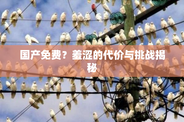 国产免费？羞涩的代价与挑战揭秘