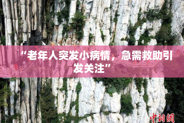 “老年人突发小病情，急需救助引发关注”