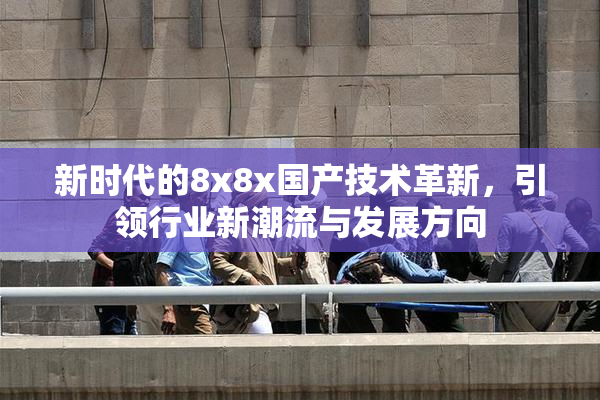 新时代的8x8x国产技术革新，引领行业新潮流与发展方向