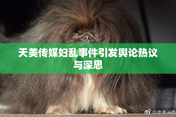 天美传媒妇乱事件引发舆论热议与深思