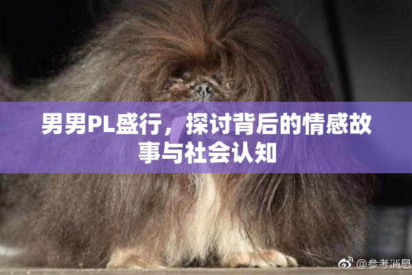 男男PL盛行，探讨背后的情感故事与社会认知
