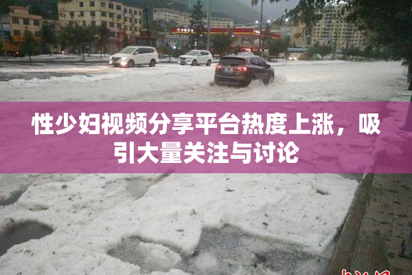 性少妇视频分享平台热度上涨，吸引大量关注与讨论