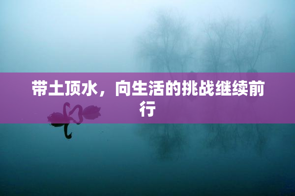 带土顶水，向生活的挑战继续前行