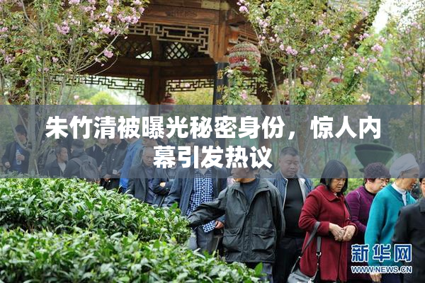 朱竹清被曝光秘密身份，惊人内幕引发热议