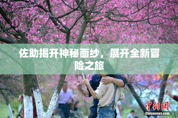 佐助揭开神秘面纱，展开全新冒险之旅