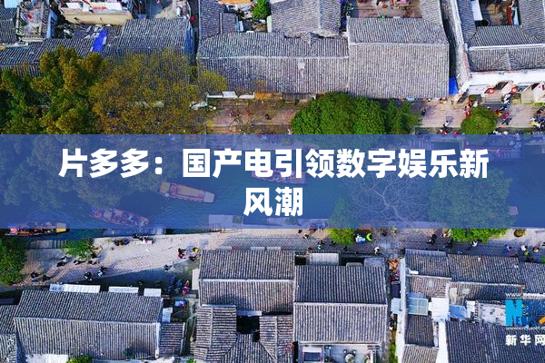 片多多：国产电引领数字娱乐新风潮