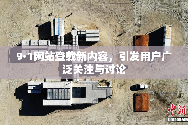 9·1网站登载新内容，引发用户广泛关注与讨论