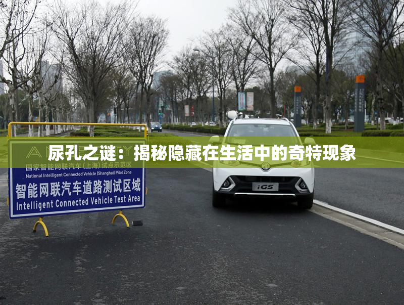 尿孔之谜：揭秘隐藏在生活中的奇特现象