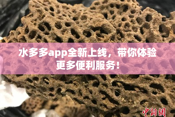 水多多app全新上线，带你体验更多便利服务！