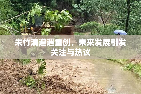 朱竹清遭遇重创，未来发展引发关注与热议