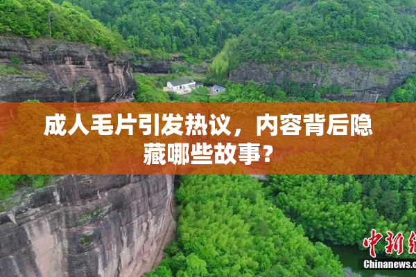 成人毛片引发热议，内容背后隐藏哪些故事？