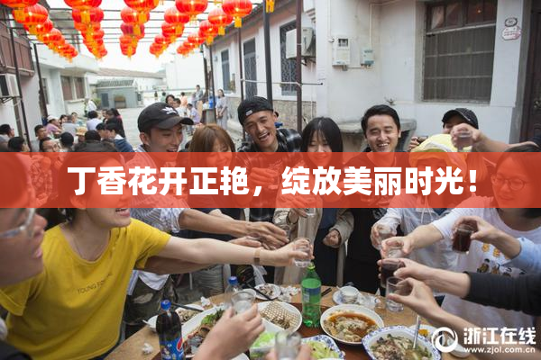 丁香花开正艳，绽放美丽时光！