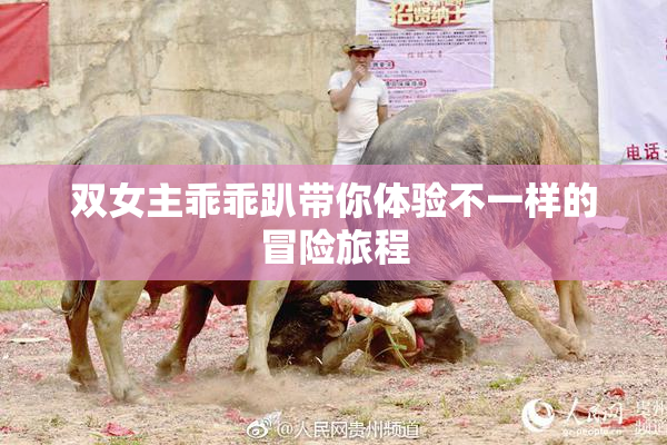 双女主乖乖趴带你体验不一样的冒险旅程