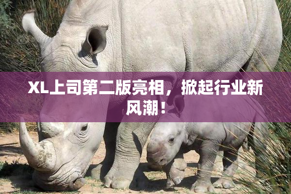 XL上司第二版亮相，掀起行业新风潮！