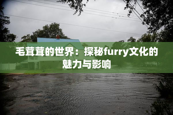 毛茸茸的世界：探秘furry文化的魅力与影响