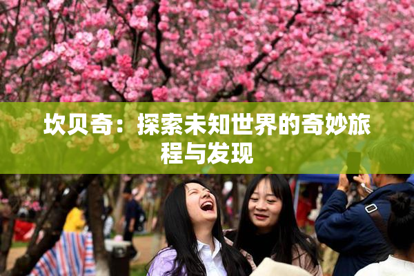 坎贝奇：探索未知世界的奇妙旅程与发现