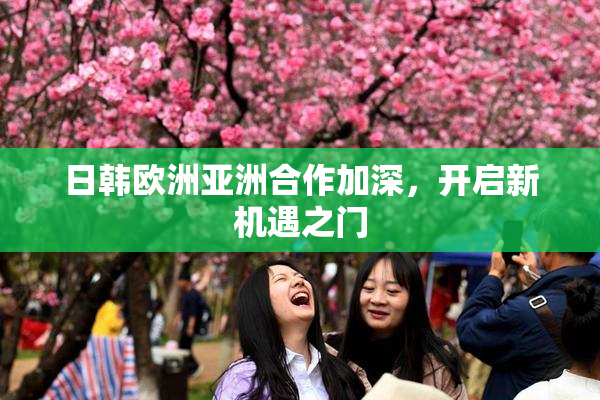 日韩欧洲亚洲合作加深，开启新机遇之门