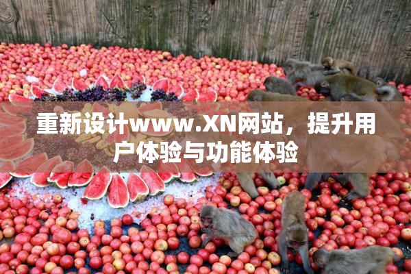 重新设计www.XN网站，提升用户体验与功能体验