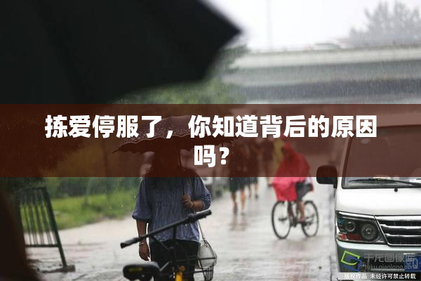 拣爱停服了，你知道背后的原因吗？