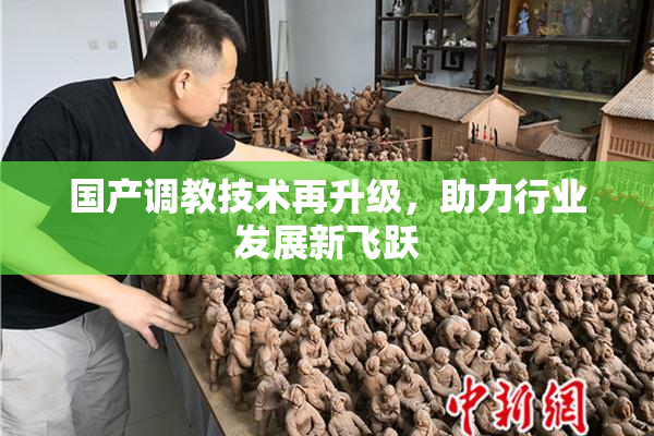 国产调教技术再升级，助力行业发展新飞跃