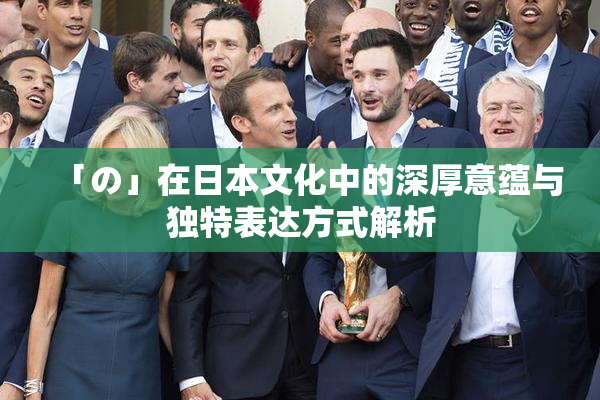 「の」在日本文化中的深厚意蕴与独特表达方式解析
