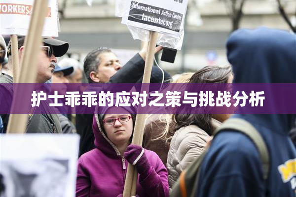 护士乖乖的应对之策与挑战分析
