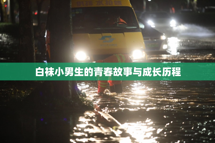 白袜小男生的青春故事与成长历程