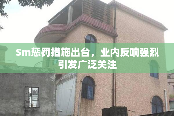 Sm惩罚措施出台，业内反响强烈引发广泛关注