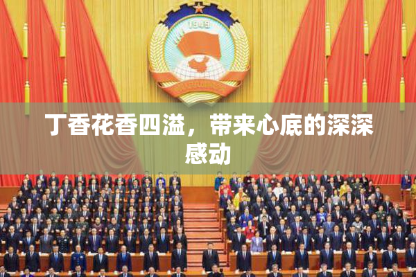 丁香花香四溢，带来心底的深深感动