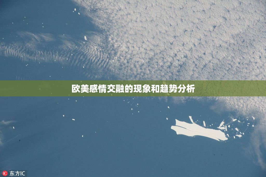 欧美感情交融的现象和趋势分析