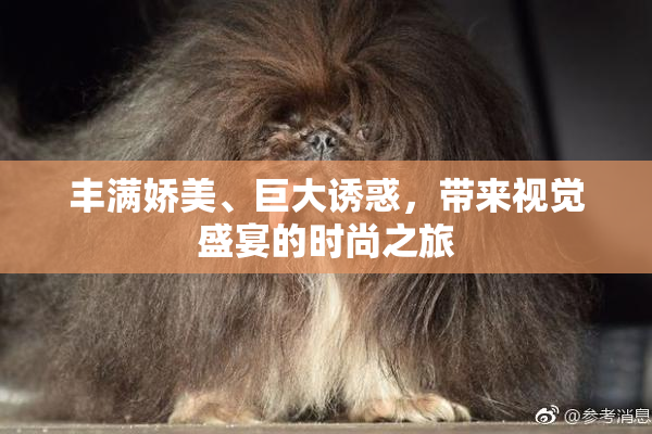 丰满娇美、巨大诱惑，带来视觉盛宴的时尚之旅