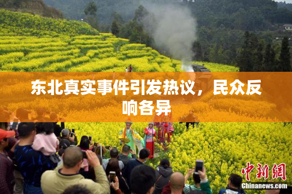 东北真实事件引发热议，民众反响各异