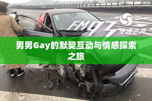 男男Gay的默契互动与情感探索之旅