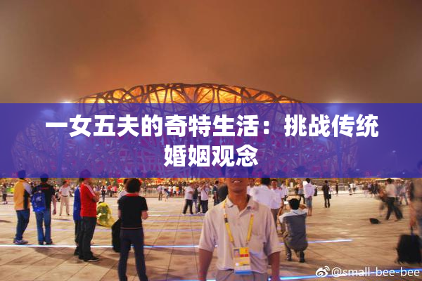 一女五夫的奇特生活：挑战传统婚姻观念