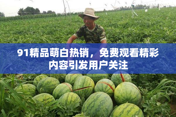 91精品萌白热销，免费观看精彩内容引发用户关注