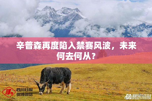 辛普森再度陷入禁赛风波，未来何去何从？