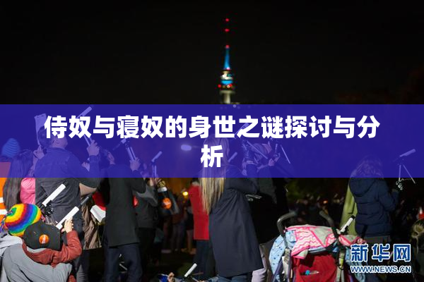侍奴与寝奴的身世之谜探讨与分析