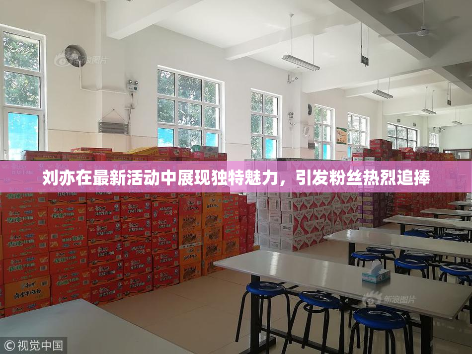 刘亦在最新活动中展现独特魅力，引发粉丝热烈追捧