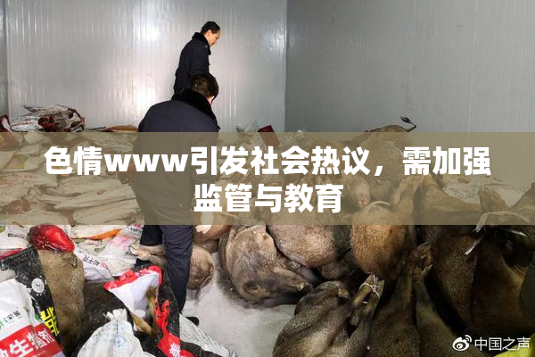 色情www引发社会热议，需加强监管与教育