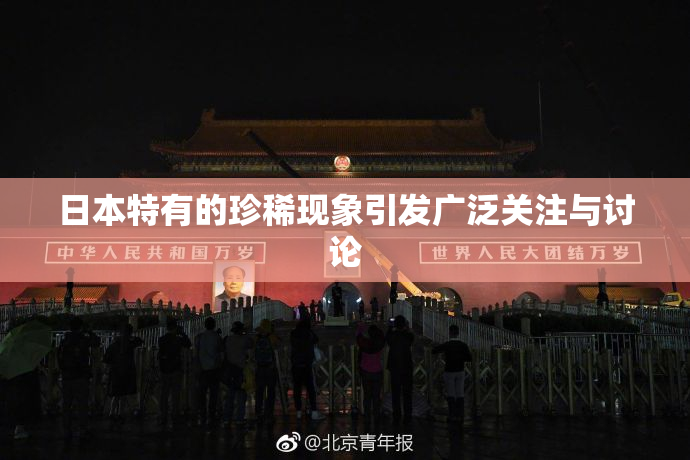 日本特有的珍稀现象引发广泛关注与讨论