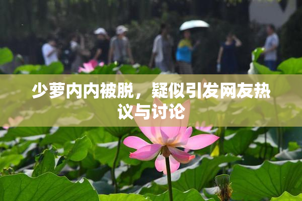 少萝内内被脱，疑似引发网友热议与讨论