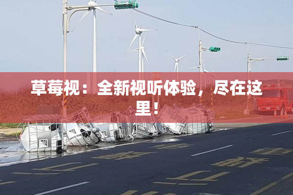 草莓视：全新视听体验，尽在这里！