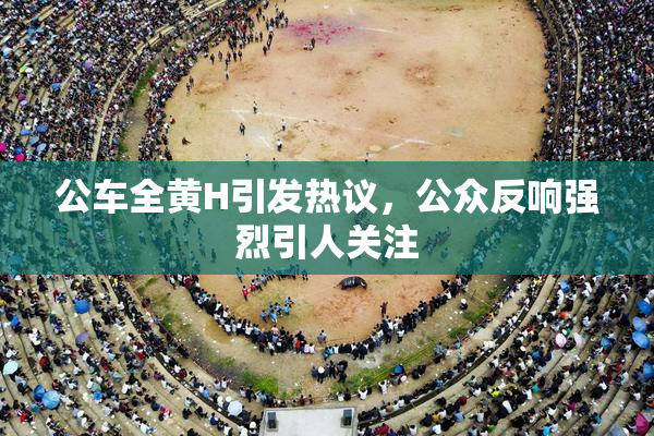 公车全黄H引发热议，公众反响强烈引人关注
