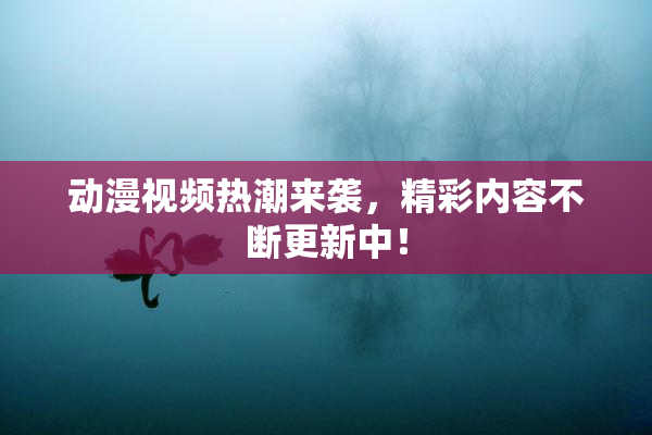 动漫视频热潮来袭，精彩内容不断更新中！